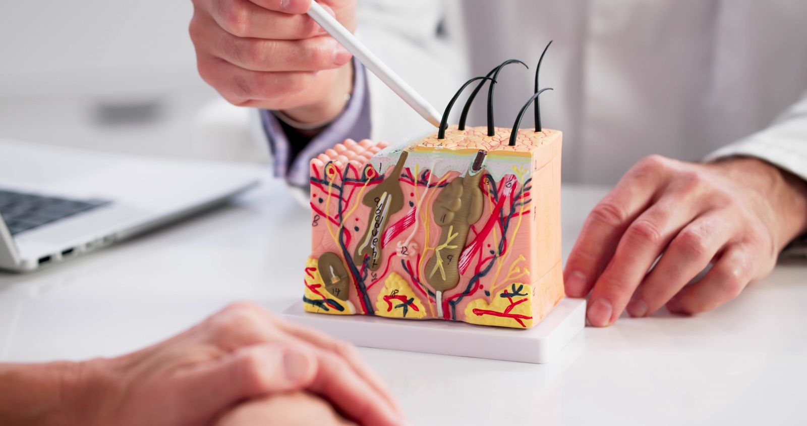 educatie - dermatologie cosmetică